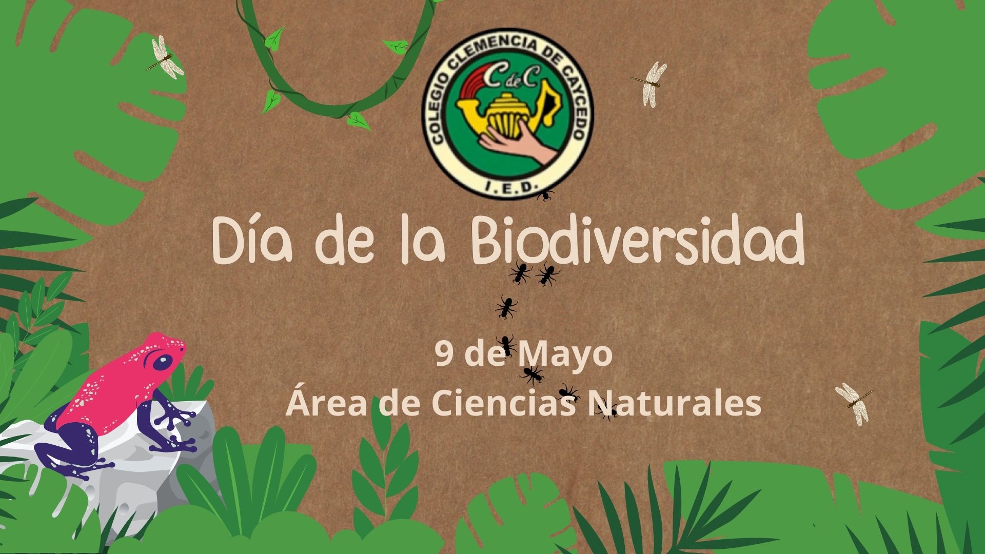 Dia de la biodiversidad