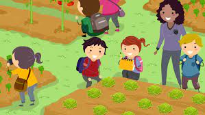 JORNADA PEDAGOGICA DISTRITAL 