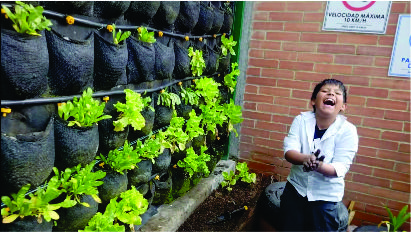 Vigía Ambiental en Acción