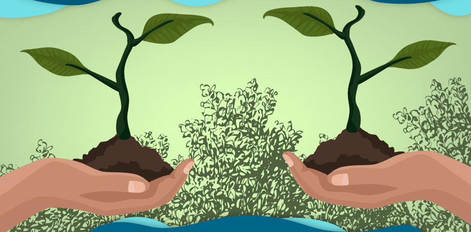 Investigo sobre la siembra y la luz solar