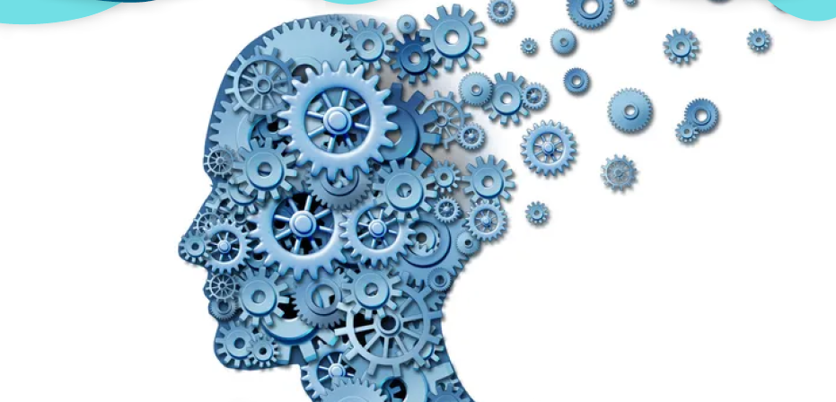 Exploro sobre las funciones y la optimización