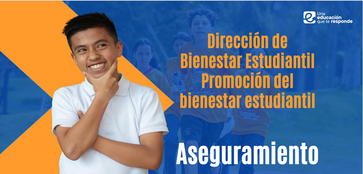 Aseguramiento Estudiantes SED