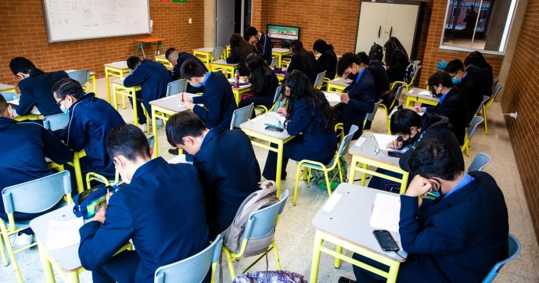 Entérate cómo expedir el certificado de estudio para estudiantes que se encuentren en alguno de los ciclos de educación, primaria, secundaria o media.