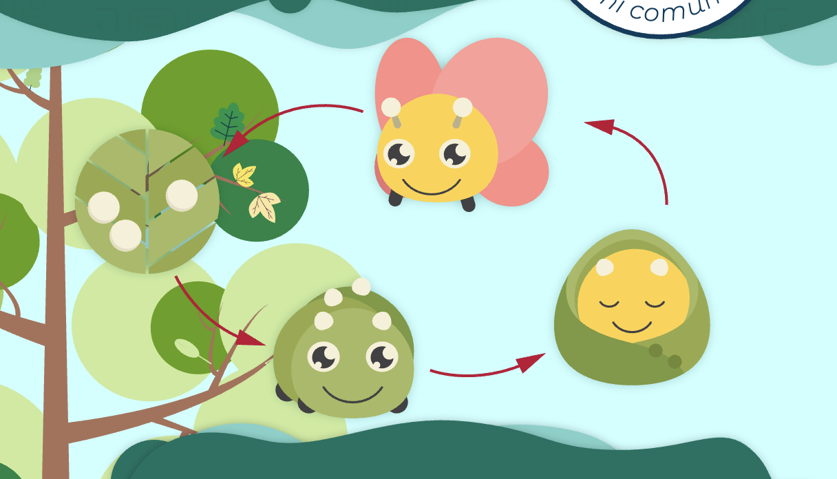 La importancia y el ciclo vital de los seres vivos