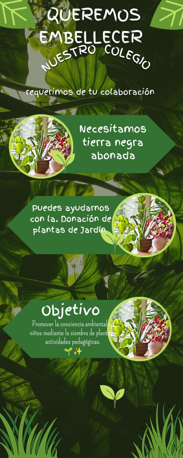 Vamos a embellecer nuestro jardín 