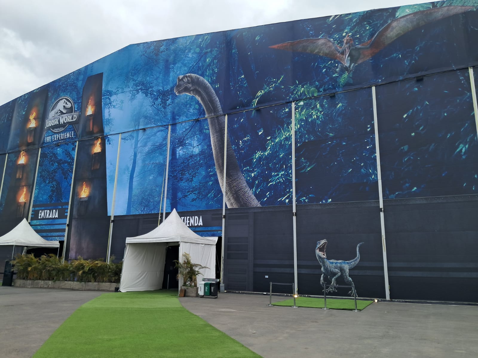 Imagen de la salida pedagógica 