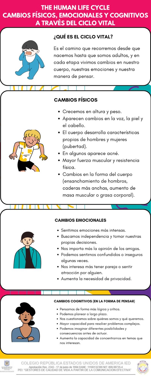 THE HUMAN LIFE CYCLE