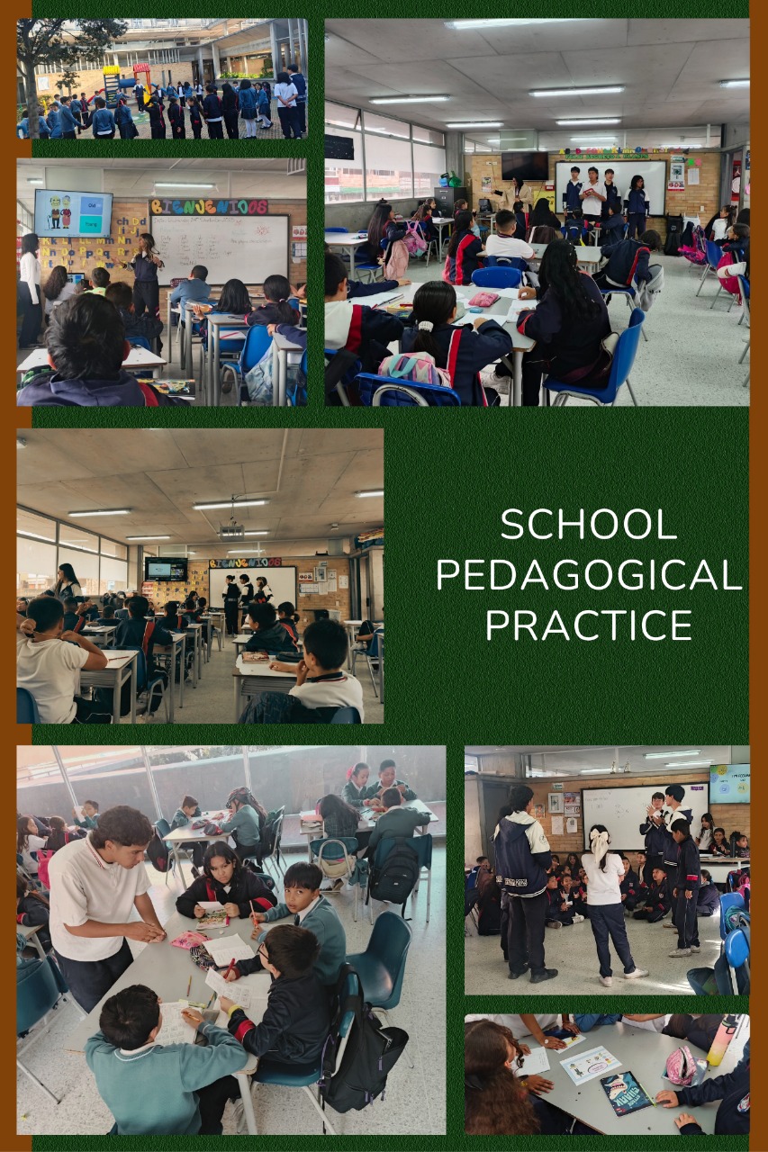 school pedagogical practice