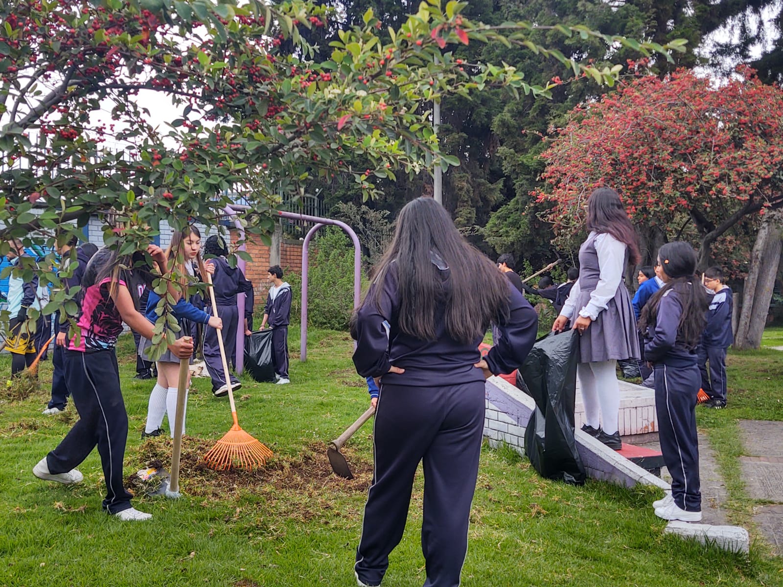 Restauración de la Huerta Escolar