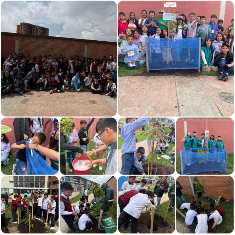 reverdeciendo el dap