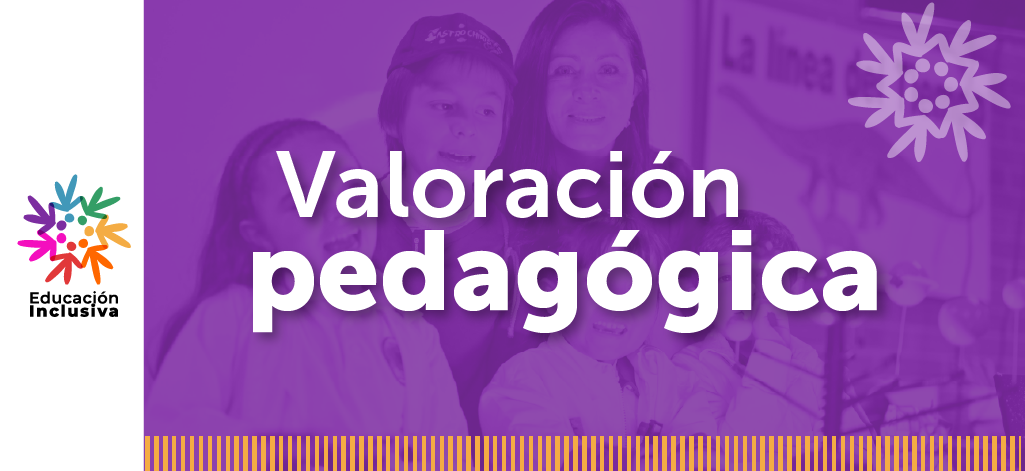 Valoración pedagógica