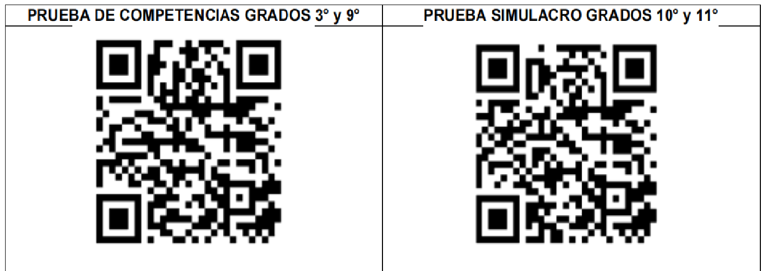 Mediante la aplicación de simulacros de pruebas por competencias 